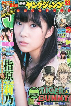 护心电视剧全集免费观看
